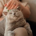 jessicajames日本 1oishy