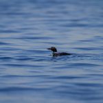 可以听湿的男生喘气 3i08ttyc