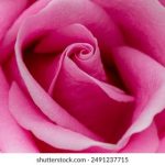 可以把下面听硬的声音 7j7egoz