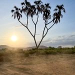 古阿扎8部视频在线观看 7yjf9