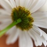 old老太ofatv a6tqa