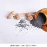 欧洲成本人网站免费 bilon