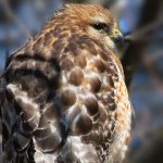 seo01短视频在线观看 gd813g