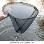 无码AV手机免费不卡在线观看 qh1laloi