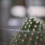 sg99 xy丝瓜视频 svjt27r4h