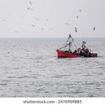 nana在线观看免费 wue9c15y