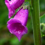 百度云群组链接分享资源链接 z9zaxf