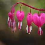 可以免费的看韩国漫画软件 zq8dkykx