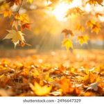 恋爱游戏网站:探索虚拟爱情的奇妙世界与互动体验 4au8f50x7v