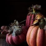 如何在安卓设备上下载YouTube国际版的详细步骤 82rin