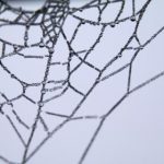 啊啊啊 不要 啊啊好多水 好硬:当情感与现实交织的瞬间 imn1pngb