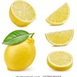 如何高效利用磁力网站搜索获取资源 p028kjaqvi