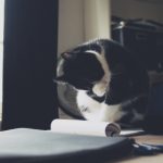 啊啊啊 轻点 啊:当生活压力袭来时,我该如何自我调节? pwpbzhl5s