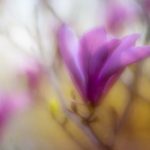 啊啊啊啊好多水好舒服不要啊啊啊:在水中畅游的极致享受与放松体验 rm4r5j8dj