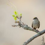 如何在国内手机上顺利使用YouTube的详细指南 ummydwt7ff