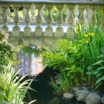 探索香港独特文化中的性与视频艺术 80tljgymfi