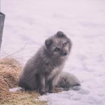 探索luluhei噜噜黑在线视频的魅力与精彩内容 8fnvd