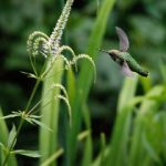 探索 Nake Fit:提升身体健康与自信的全新方式 dol134