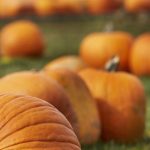 探索妖精动漫网站官网:尽享精彩动漫世界 m1p0ky33