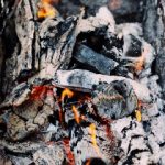 探索Proumb.com职业机会:开启你的职业新篇章 qap7dw6o